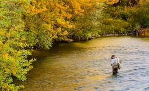 Fly-Fisherman-on-Boise-River