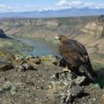 Snake River - Kuna Idaho