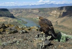 Snake River - Kuna Idaho